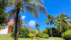 A tropical garden with palm trees, a pathway, and a building with a red door. - bungalows Cas'à Willy - Alamanda 3 (Sainte-Rose)