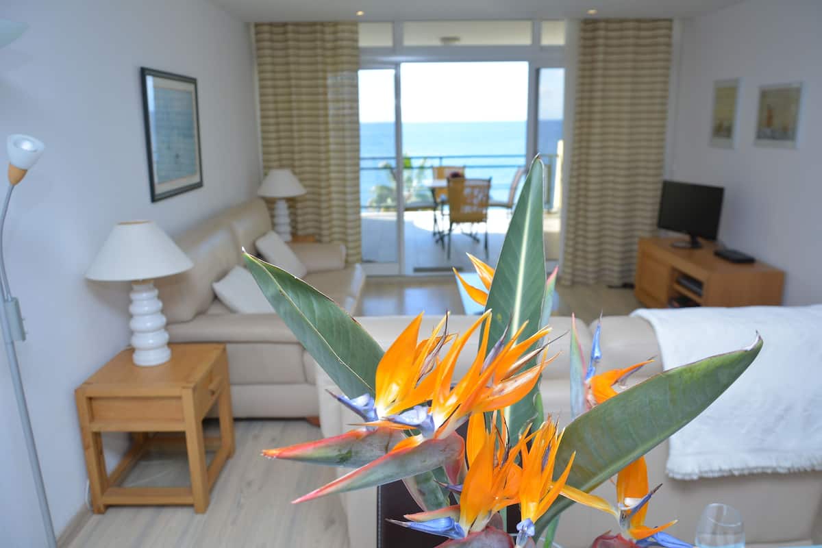 A living room with a sofa, a side table, and a plant. There is a view of the ocean through large windows.