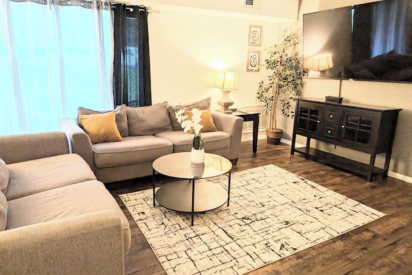 TV, Netflix, streaming services