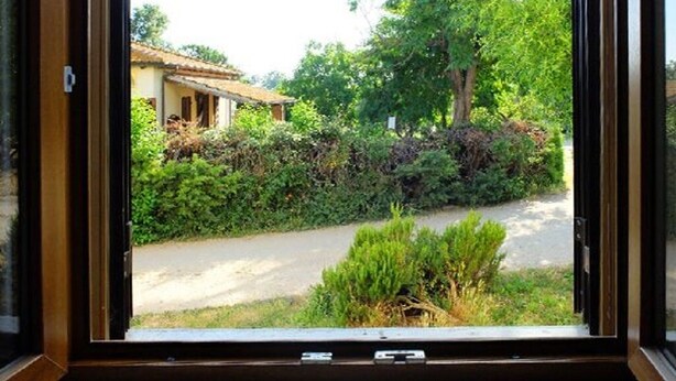 Blick aus dem Fenster auf eine Landstraße mit einem Haus und Grünflächen.