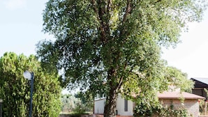 Ein großer Baum in einer grasbewachsenen Fläche mit einem rustikalen Holztisch und Stühlen.