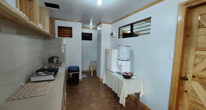 Log Homes Inspired Unit 2 w/ Wi-Fi and Cable