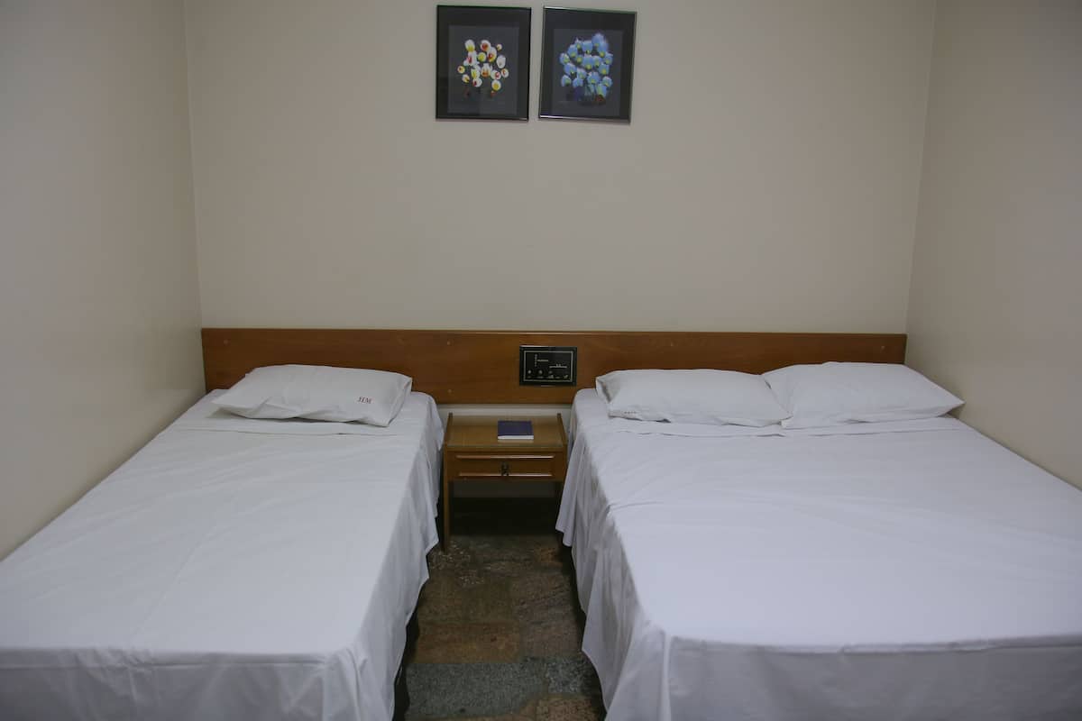 Minibar, escritorio, wifi gratis y ropa de cama 