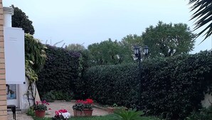 Un jardin avec un chemin pavé, des plantes en pot et un bâtiment à la façade blanche.