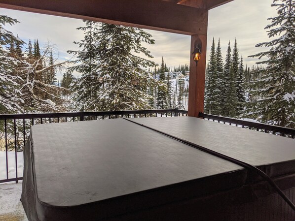 Baignoire à remous extérieure