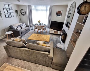 TV, fireplace, books