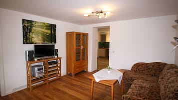 TV, fireplace, DVD player, books
