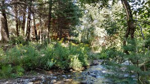 A natural stream with surrounding greenery and trees. - Secluded Creekside Cabin (Coaldale)