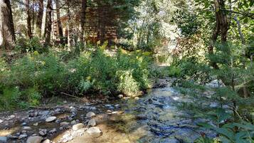 Àrea exterior de l'allotjament