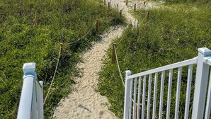 A sandy beach path leading to a wooden deck with a white railing, surrounded by greenery. - "Be Still" - Oceanfront Home w/ Private Pool, 4 Bedrooms / 3.5 Bathrooms (Holden Beach)