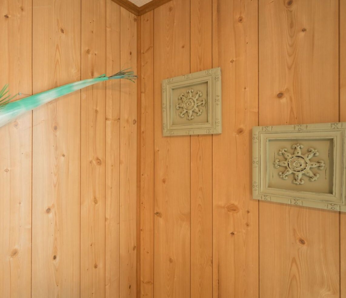 A wooden paneled wall with two decorative wall plates and a green plant.