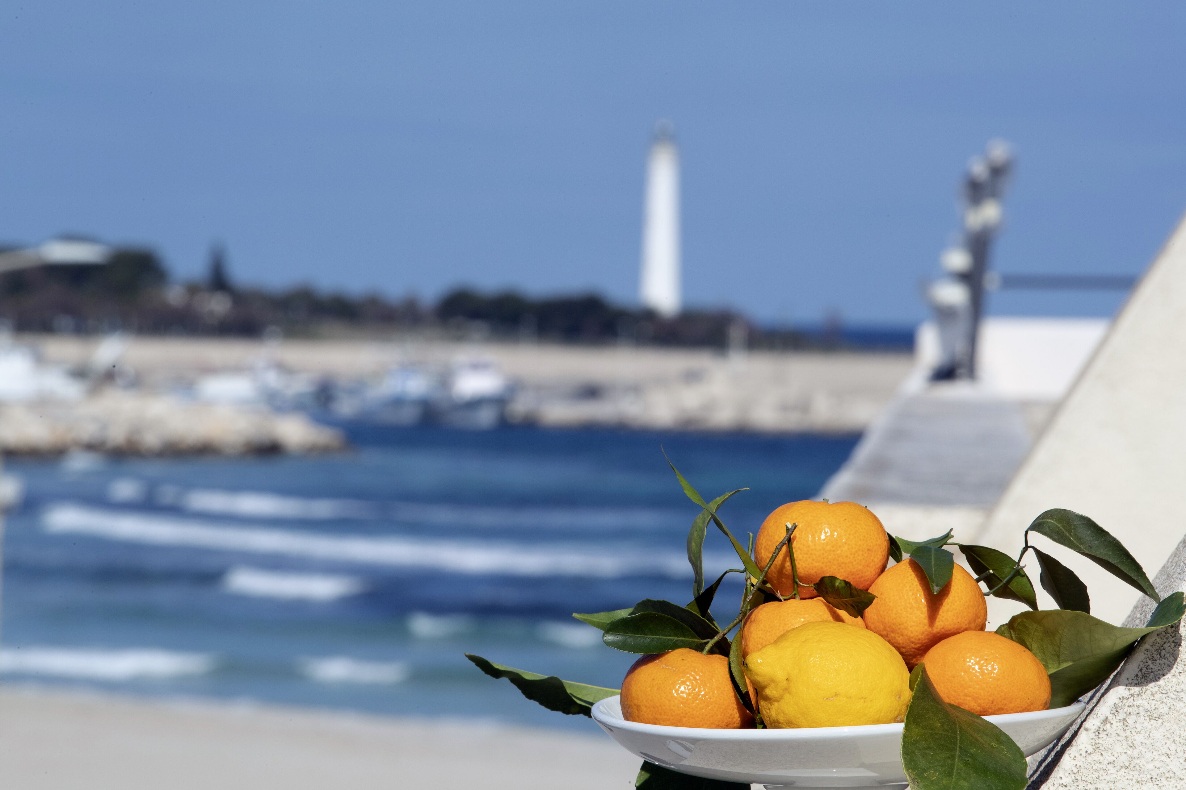 Ein Teller mit Orangen und Zitronen an einer Uferpromenade, im Hintergrund Schiffe und ein Leuchtturm.