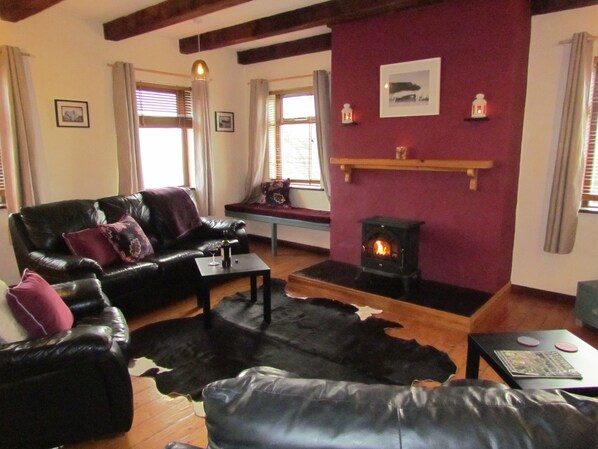 Smart TV, fireplace, DVD player, books