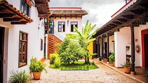 Un patio con piso de piedra, plantas en macetas y una escalera que lleva al segundo piso.