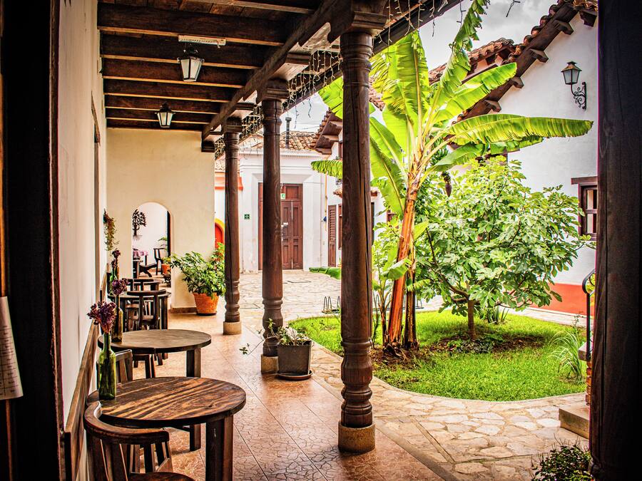 Jardim