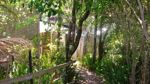 A narrow pathway surrounded by dense foliage and trees, leading towards a building with a visible door.