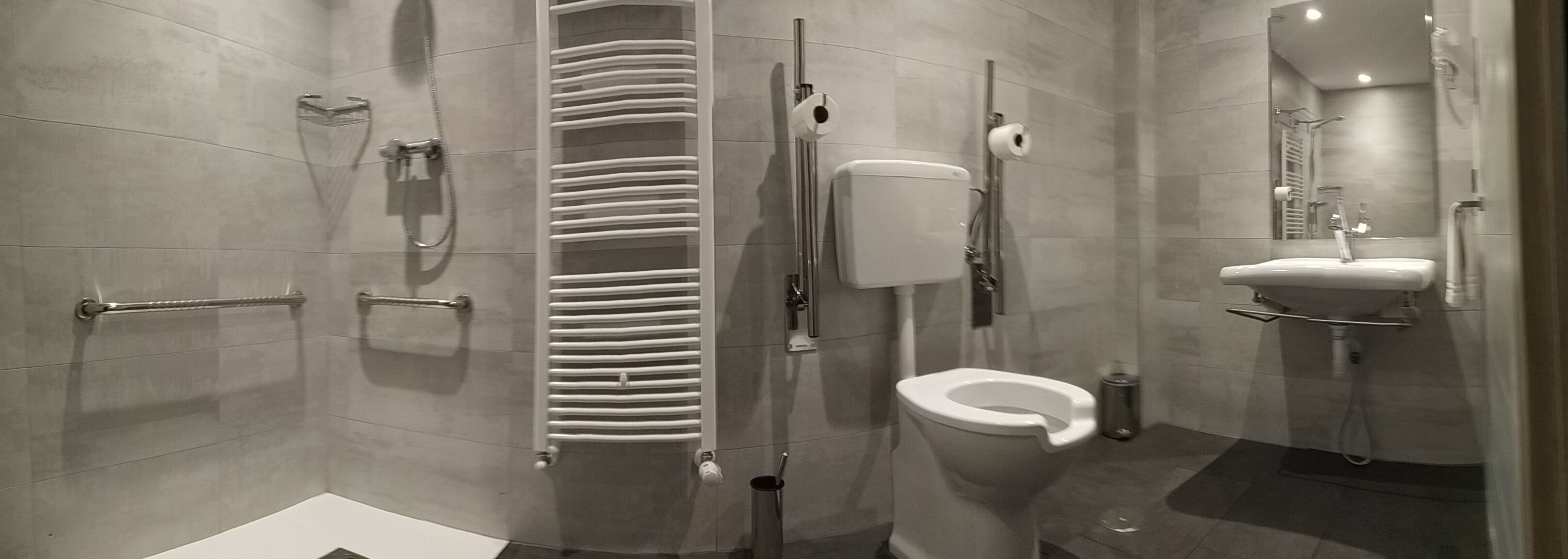 family room (estándar - kabe) | bathroom | shower, hair dryer, towels, soap