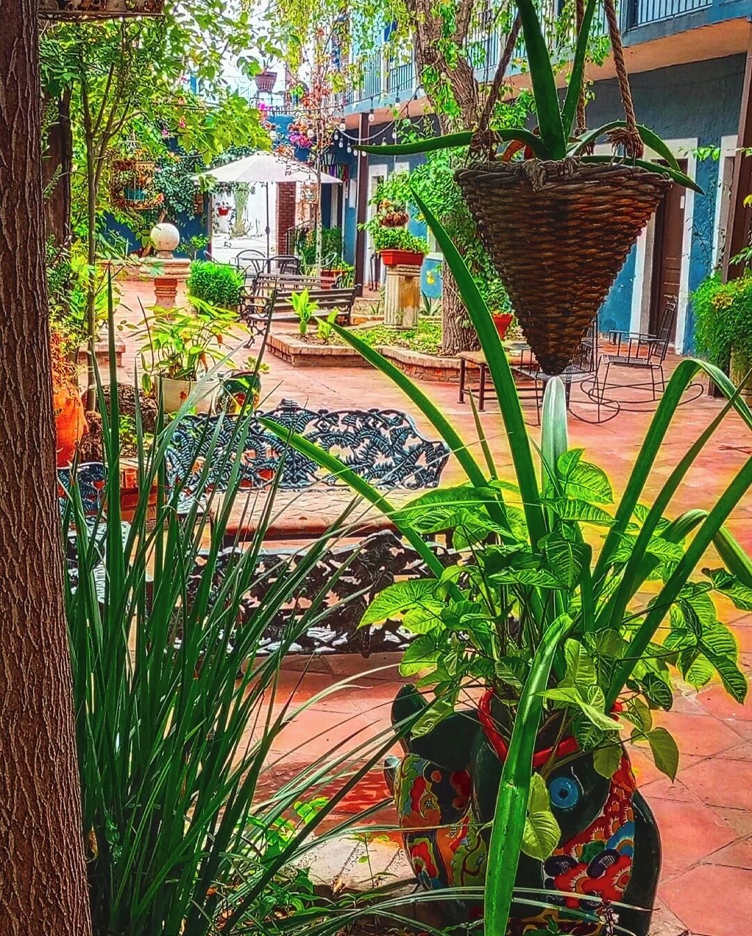 A courtyard with potted plants, a hanging basket, and outdoor furniture.