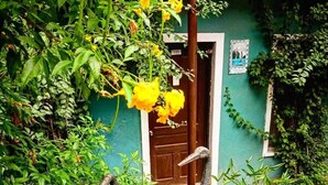 Un patio con dos esculturas de piedra de aves, rodeado de abundante follaje y una puerta con un cartel con el número 111.