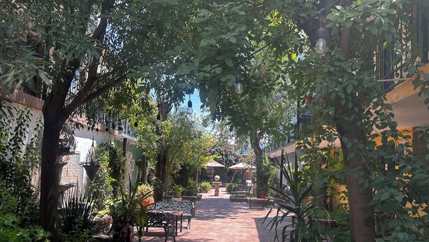 Un patio iluminado por el sol con un sendero empedrado, rodeado de exuberante vegetación y zonas de estar al aire libre.