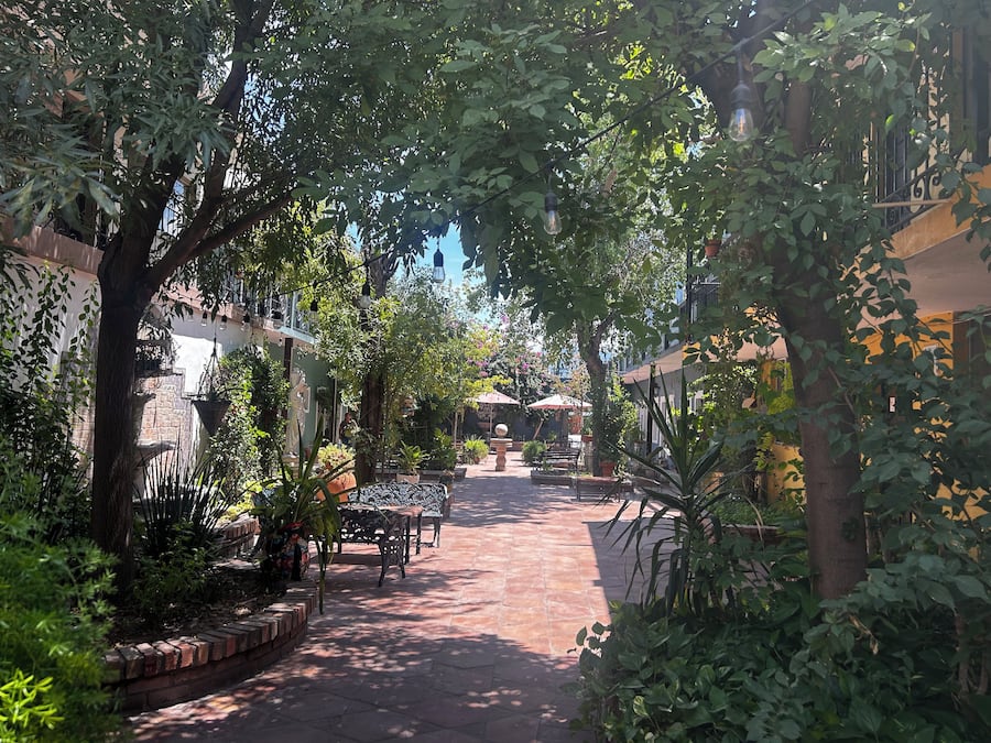 Terraza o patio