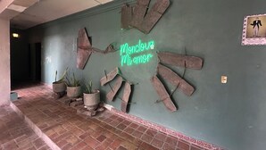 Un pasillo con una pared verde, un letrero de neón que dice "Mundo Amor" y varias plantas en macetas.