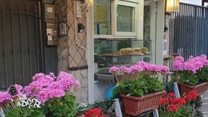 A building with a stone facade, a glass storefront, and multiple flower planters with red and pink flowers. - Oh Mamma Mia (Pompei)
