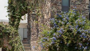 A stone staircase leading up to a building with a window and a door, surrounded by greenery and flowers.