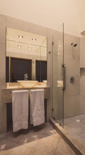 Shower, free toiletries, hair dryer, towels - Hotel Layseca (San Juan del Río)