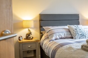 1 chambre, fer et planche Ă repasser, accĂšs Internet