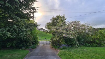 Retreat to the farm and  enjoy the native bush and stream.