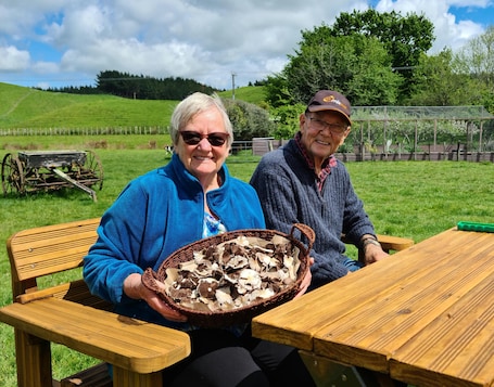 Outdoor dining. Retreat to the farm and enjoy the native bush and stream.