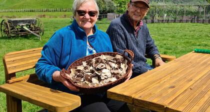 Ziehen Sie sich auf die Farm zurĂŒck und genieĂen Sie den einheimischen Busch und Bach.