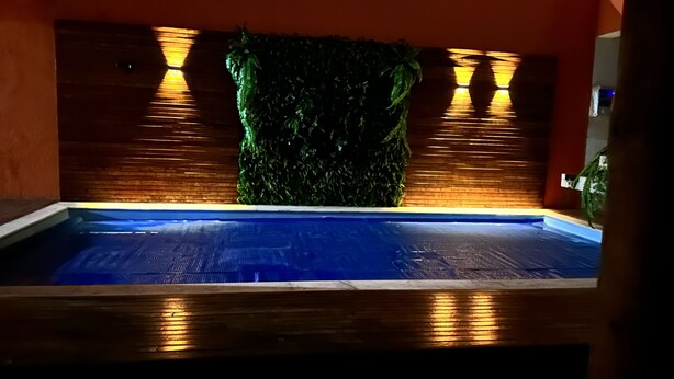 Una piscina con bordo in legno e un muro con listelli verticali in legno e una pianta verde.