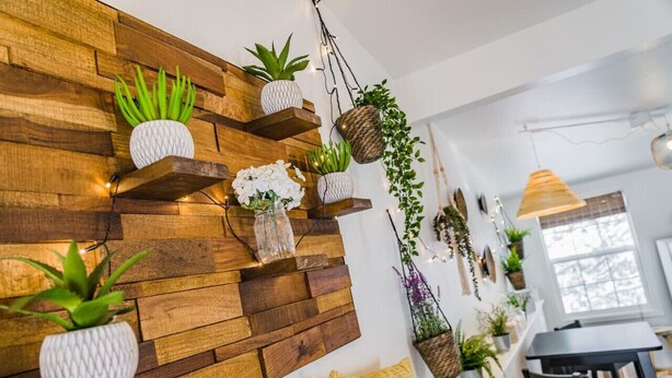 A modern living room with a wooden wall unit displaying various potted plants and a vase of flowers. - Downtown Cabin on Quiet Hilltop. Airy Deck & Views (Estes Park)