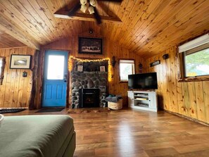 Smart TV, fireplace, books