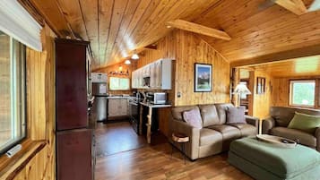 Smart TV, fireplace, books