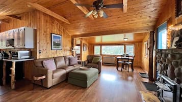 Smart TV, fireplace, books