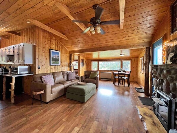 Smart TV, fireplace, books