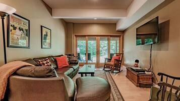 电视、壁炉、DVD 播放器、音乐库