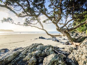 A beach with large rocks, a leaning tree, and a clear view of the ocean. - Onetangi Beach Cottage - Onetangi Bach (Onetangi)