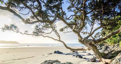Onetangi Beach Cottage - Onetangi Bach