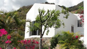 A white building with a stone staircase leading to a door, surrounded by vibrant pink bougainvillea and various green plants.