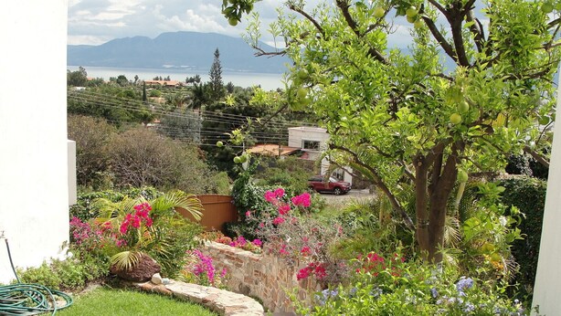 A garden with a stone wall, various plants, and a view of the sea and mountains in the background.