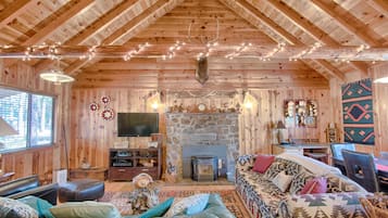 TV, fireplace, DVD player, books