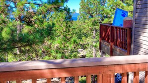 Unclassified image, 5 of 26, button - Village Pleasure (Zephyr Cove)