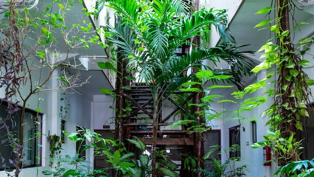 Property grounds - Playa Centro 102 (Playa del Carmen)