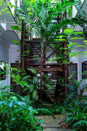 Property grounds - Playa Centro 102 (Playa del Carmen)