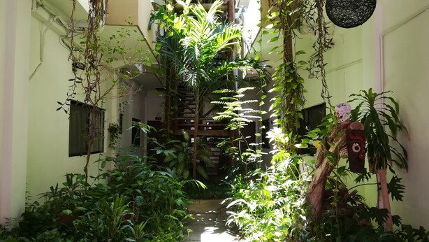 Exterior detail - Playa Centro 202 (Playa del Carmen)