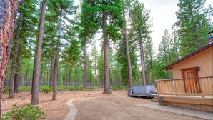Unclassified image, 2 of 19, button - Golden Dust (South Lake Tahoe)